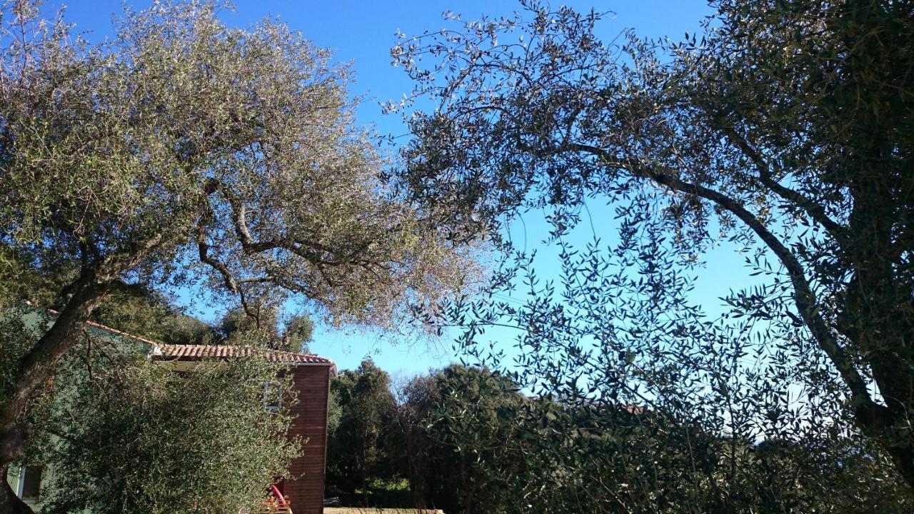 La Pampa Cargese Chambres D Hotes Kültér fotó