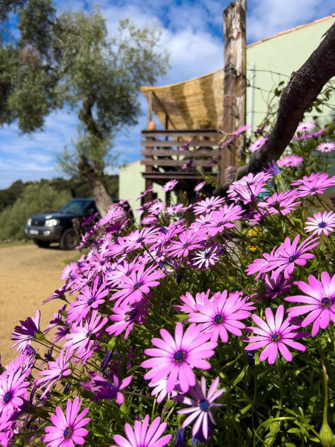 La Pampa Cargese Chambres D Hotes Kültér fotó